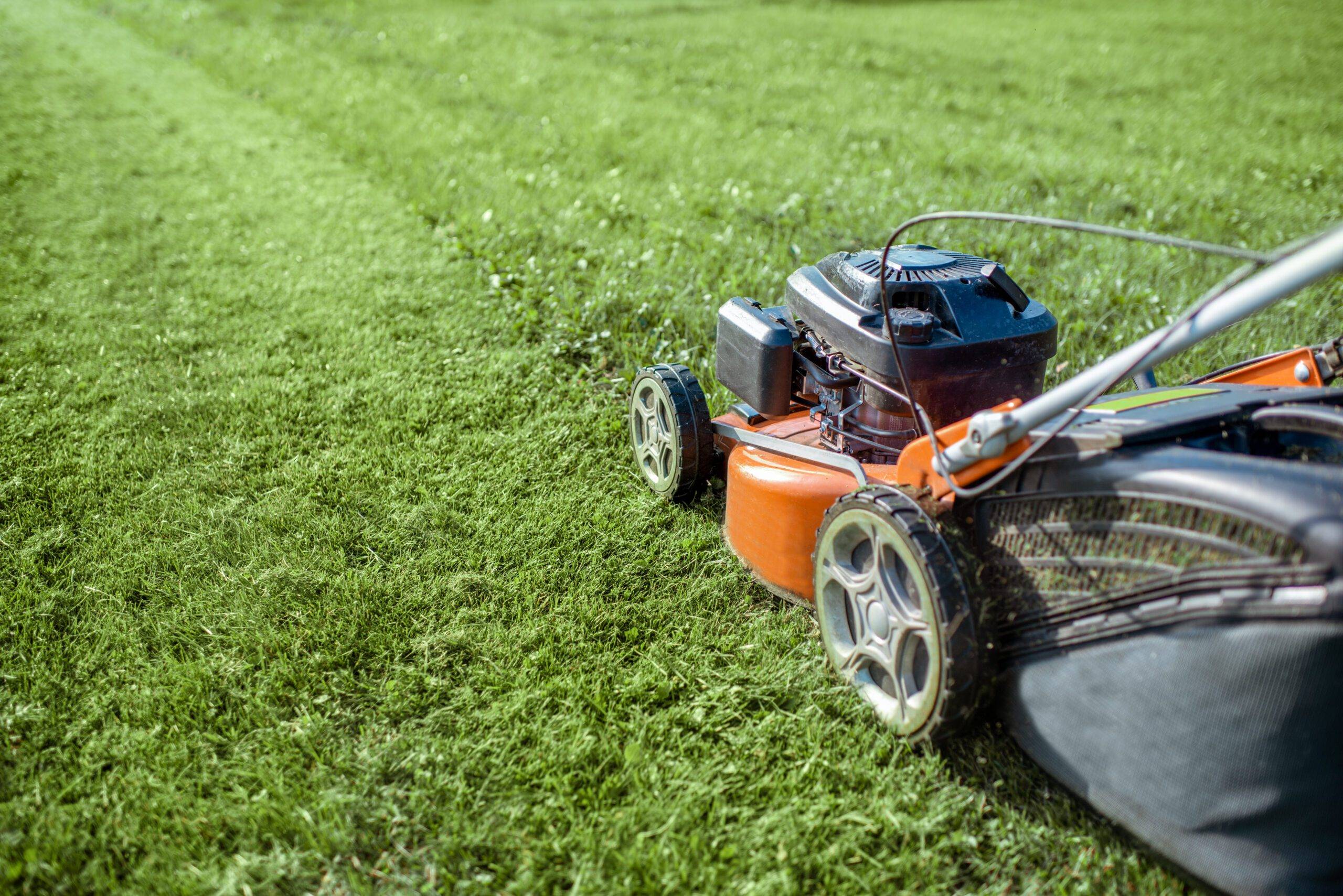 Lawn mower cutting grass